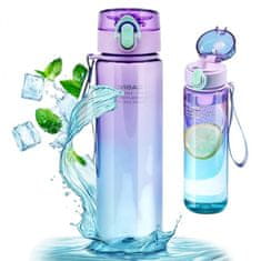 LIVEFY steklenica za vodo Hydra 560ml, vijolična / modro