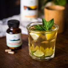 Organic India Bio indijski med Tulsi + bio kamilica, 100g pločevinka