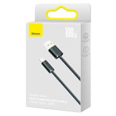 BASEUS Dynamic Series USB kabel USB-C 100 W 1 m siv