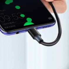 Ugreen Kabel USB-C na USB-A Quick Charge 3.0 3A 0,25 m črn