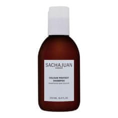 Colour Protect Shampoo 250 ml šampon za barvane lase unisex