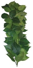 KOMODO Dekoracija umetna rastlina - plezanje Ficus 35cm