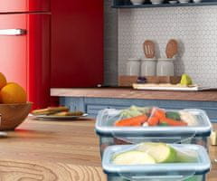 Alpina komplet posod za shranjevanje živil, plastika, 3 posode