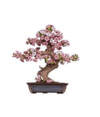 Robotime 3D lesena sestavljanka: Sakura Bonsai