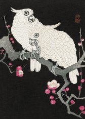 Zakito Posters Plakat 50x70 cm Dva kakaduta, Koson Japonski Vintage za dnevno sobo