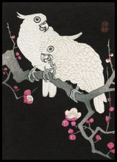 Zakito Posters Plakat 50x70 cm Dva kakaduta, Koson Japonski Vintage za dnevno sobo