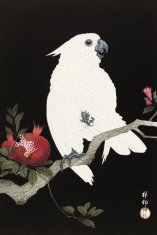 Zakito Posters Plakat 40x60 cm Kakadut in granatno jabolko 2, Koson Vintage za dnevno sobo