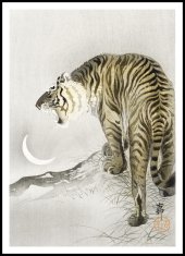 Zakito Posters Plakat 70x100 cm Rjoveči tiger, Koson Japonski Vintage za dnevno sobo