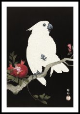 Zakito Posters Plakat 40x60 cm Kakadut in granatno jabolko 2, Koson Vintage za dnevno sobo