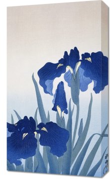 Zakito Posters Slika 40x70 cm Cvetovi perunik, Koson Japonski Vintage za dnevno sobo