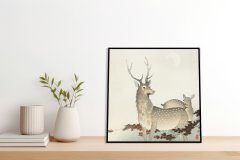 Zakito Posters Plakat 50x50 cm Par jelenov, Koson Japonski Vintage za dnevno sobo