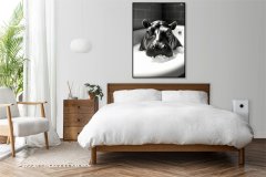 Zakito Posters Plakat 50x70 cm Vintage umetniški | Hipuś | Portret živali v pop art slogu za dnevno sobo