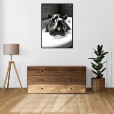 Zakito Posters Plakat 50x70 cm Vintage umetniški | Hipuś | Portret živali v pop art slogu za dnevno sobo