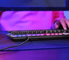 Trust GXT 833 Thado tipkovnica, RGB, US (23698)