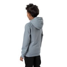 4F Športni pulover 134 - 139 cm JSS23TSWSM220