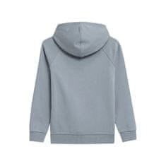 4F Športni pulover 134 - 139 cm JSS23TSWSM220