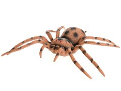Jungle Expedition pajek/ant 17-21 cm
