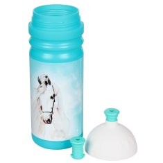 Zdrava steklenička Beloush volumen 700 ml