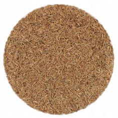 shumee Semena kumine - 100 g