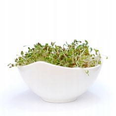 shumee Kalčki lucerne - 500 g semen za kalčke