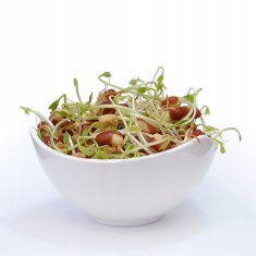 shumee Fižol adzuki - 250 g semen za kaljenje