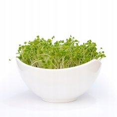 shumee BROKOLI Semena za kalčke 500 g