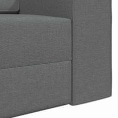 Vidaxl Floor sofa postelja Temno siva 245 x 78 x 77 cm blago
