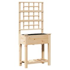 Vidaxl vrtni raj s trellisom in policami 71x37x152 cm trden bor