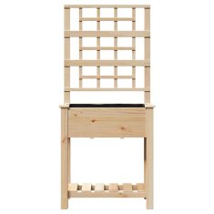 Vidaxl vrtni raj s trellisom in policami 71x37x152 cm trden bor