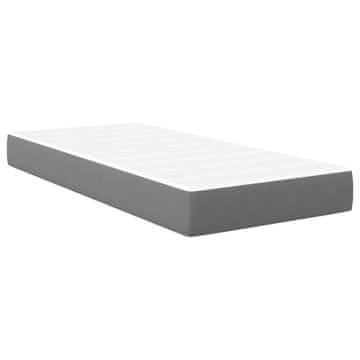 Vidaxl Vzmetnica z vzmetnico Svetlo siva 80 x 200 cm blago