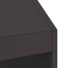 Vidaxl Ogenj Črna 50 x 50 x 100 cm Jeklo