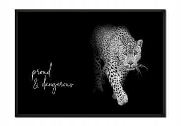 shumee SLIKA, PLAKAT V OKVIRJU 53x73 cm Živali P625