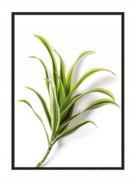 shumee PLAKAT V OKVIRJU 53x73 cm Listi P878