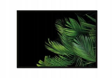 shumee PLAKAT ZA SLIKE V OKVIRJU 53x73 cm Listi Level P925