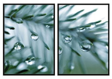 shumee UOKVIRJENE SLIKE 33x43cm Diptih Komplet 2 slik Listi Kapljice Rosa P727