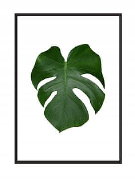 shumee PLAKAT V OKVIRJU 43x33 cm List 2 P570