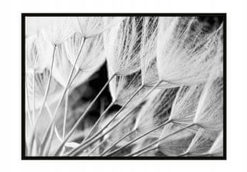 shumee SLIKOVNI PLAKAT V OKVIRJU 53x73 cm Regrat P914