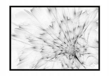 shumee SLIKOVNI PLAKAT V OKVIRJU 53x73 cm Regrat P930