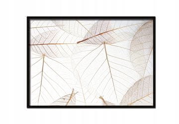 shumee PLAKAT V OKVIRJU 53x73 cm Zlati listi P634