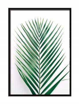 shumee SLIKA, PLAKAT V OKVIRJU 33x43 cm List P2020