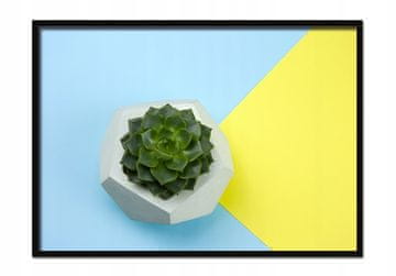 shumee PLAKAT V OKVIRJU 53x73 cm Rastlina 2 P615