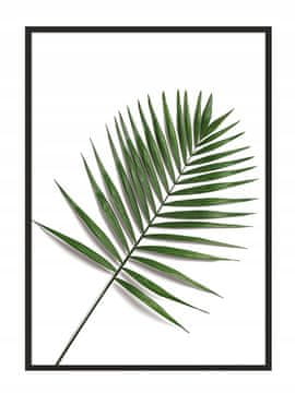 shumee PLAKAT ZA SLIKE V OKVIRJU 53x73 cm List P876