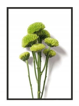 shumee PLAKAT ZA SLIKE V OKVIRJU 33x43 cm Cvet P882
