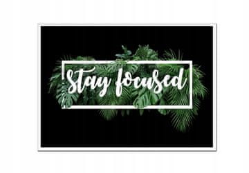 shumee SLIKA, PLAKAT V OKVIRJU 33x43 cm Leaves2 P526