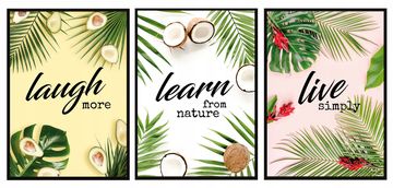 shumee SLIKOVNI PLAKATI V OKVIRJU 33x43cm Triptih Komplet 3 slik Tropsko sadje P789