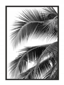 shumee PLAKAT ZA SLIKE V OKVIRJU 43x33 cm Palm P689