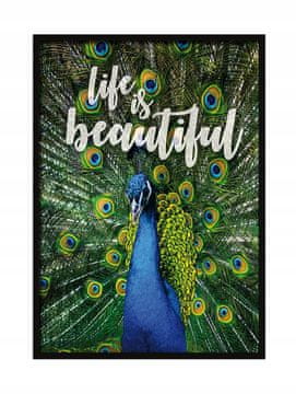 shumee SLIKA, PLAKAT V OKVIRJU 33x43 cm Šapa P528