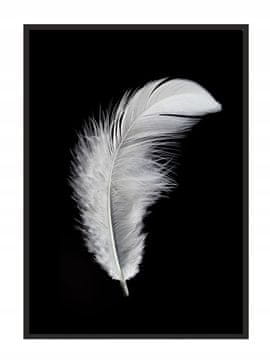 shumee SLIKOVNI PLAKAT V OKVIRJU 53x73 cm Pero P841