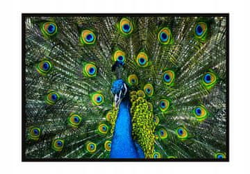 shumee PLAKAT ZA SLIKE V OKVIRJU 53x73 cm Pav P956