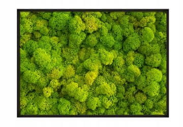 shumee PLAKAT ZA SLIKE V OKVIRJU 53x73 cm Severni mah P676